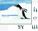 Free Animal PowerPoint Template